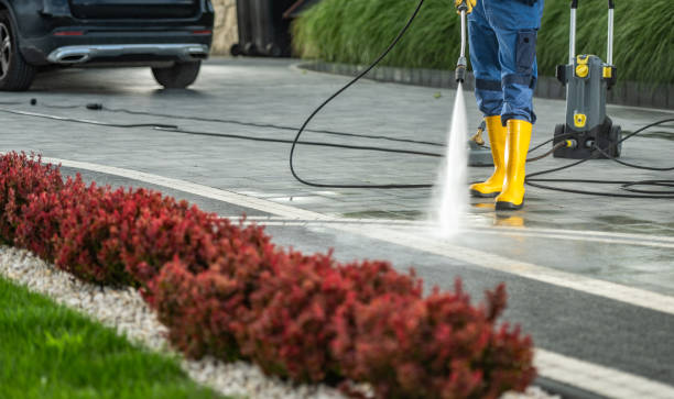 Animal Enclosure Cleaning in Crystal River, FL